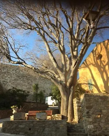 Logement neuf centre du village aux pieds du château Grimaud Extérieur photo